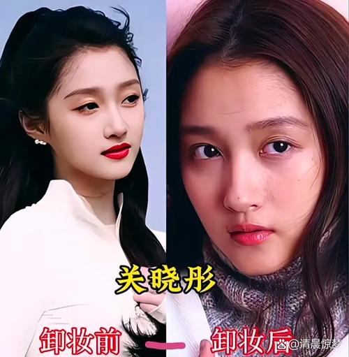 明星脸女生_娱乐圈脸脸是谁_娱乐圈女明星的脸